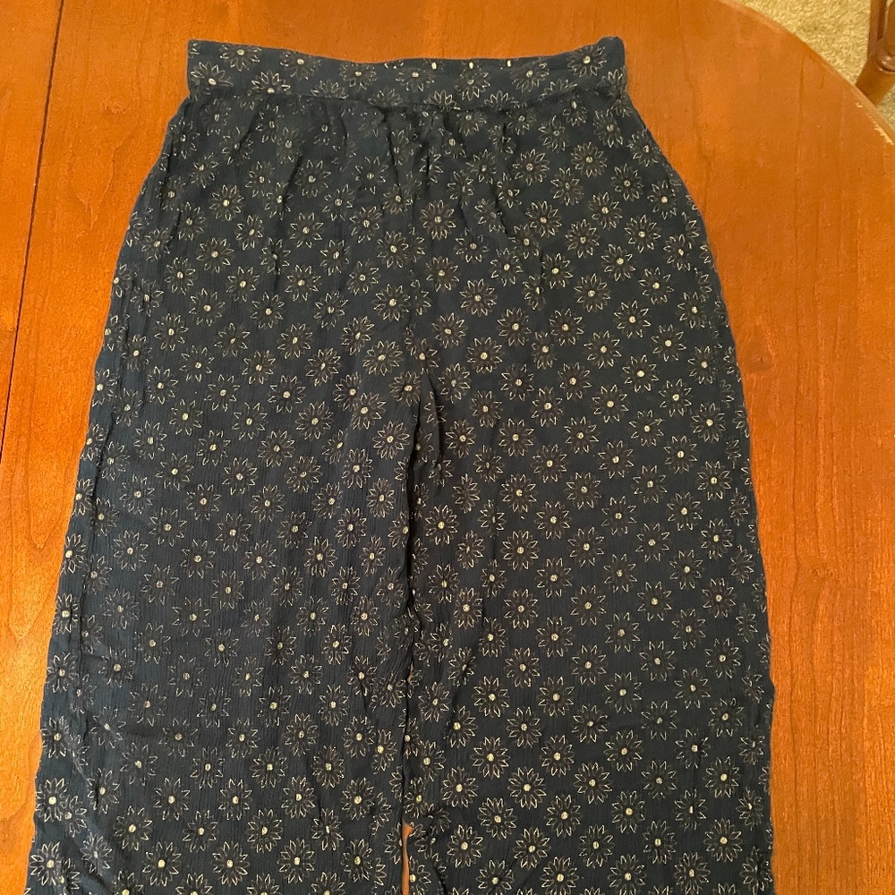 Earth bound pants